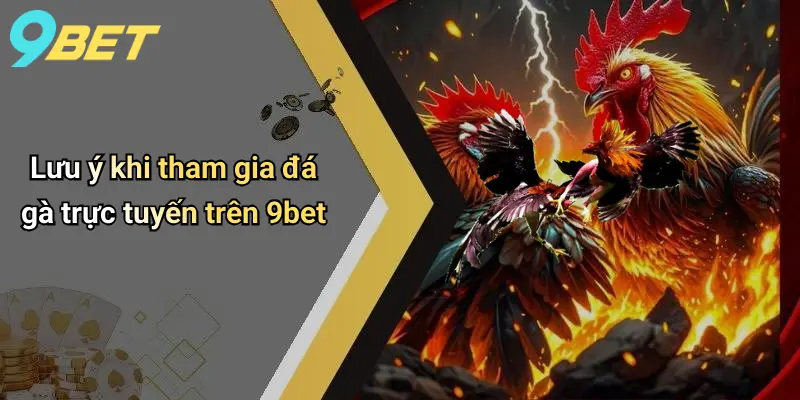 Lưu ý khi tham gia đá gà trực tuyến trên 9bet